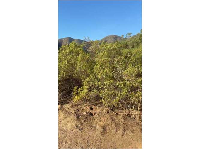 Terreno en Venta Curacaví.