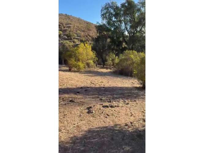 Terreno en Venta Curacaví.