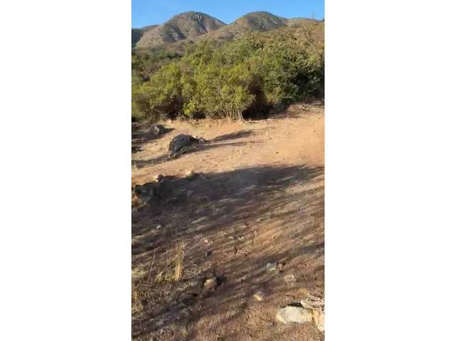 Terreno en Venta Curacaví.
