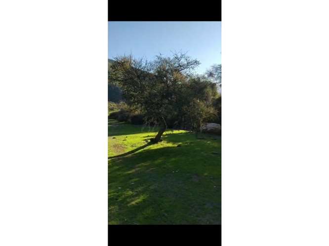 Terreno en Venta Curacaví.