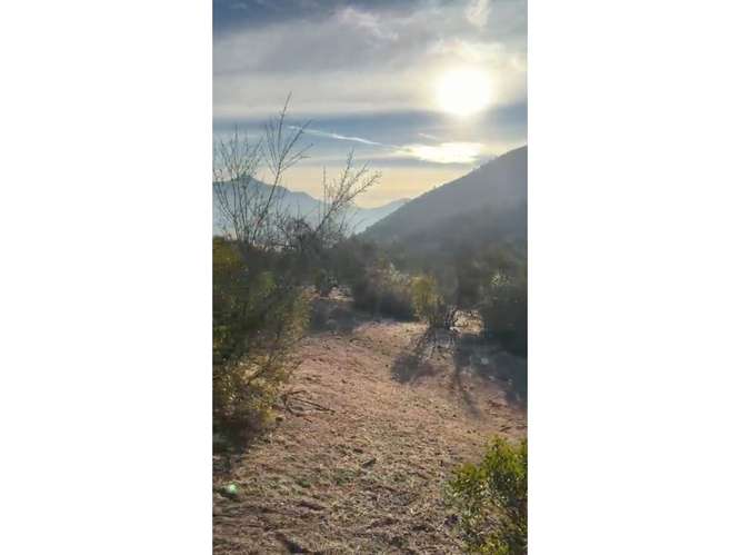 Terreno en Venta Curacaví.