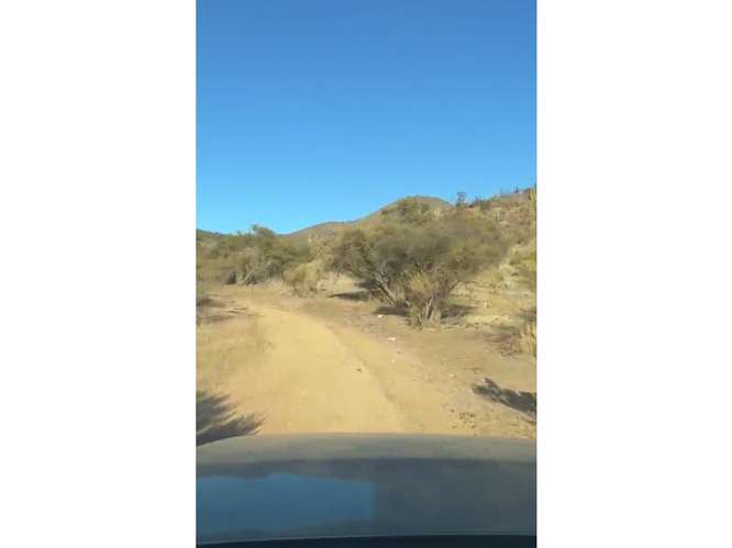 Terreno en Venta Curacaví.