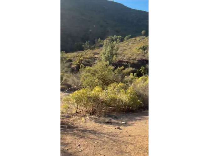 Terreno en Venta Curacaví.