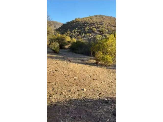 Terreno en Venta Curacaví.
