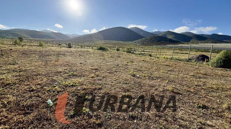 Parcela PARCELA – RESERVA RIPAMONTI, PAN DE AZÚCAR, COQUIMBO