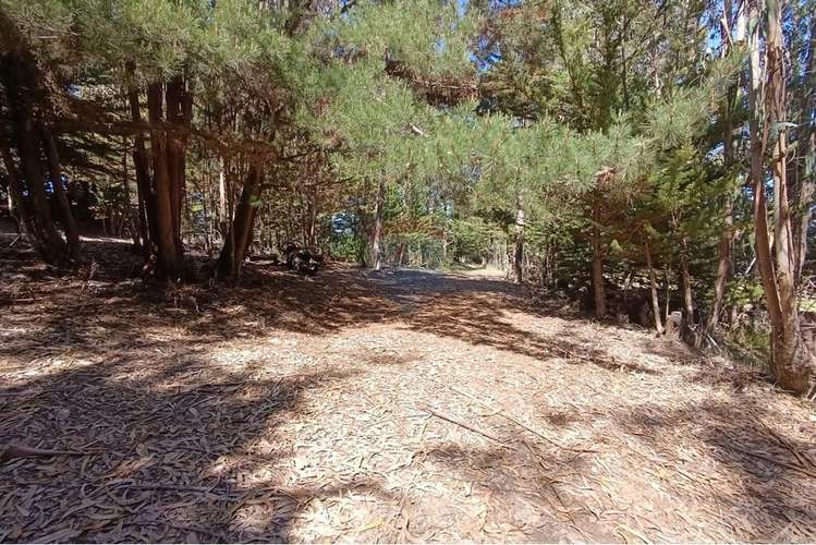 Terreno 9.481 m2 alto punta de lobos pichilemu