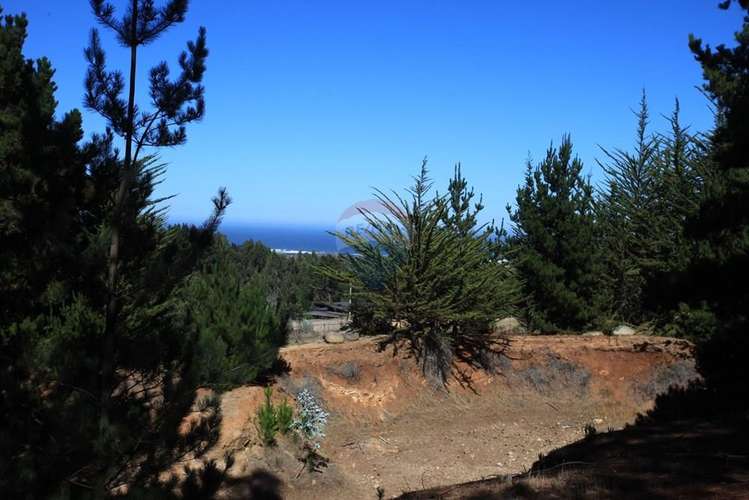Terreno 9.481 m2 alto punta de lobos pichilemu