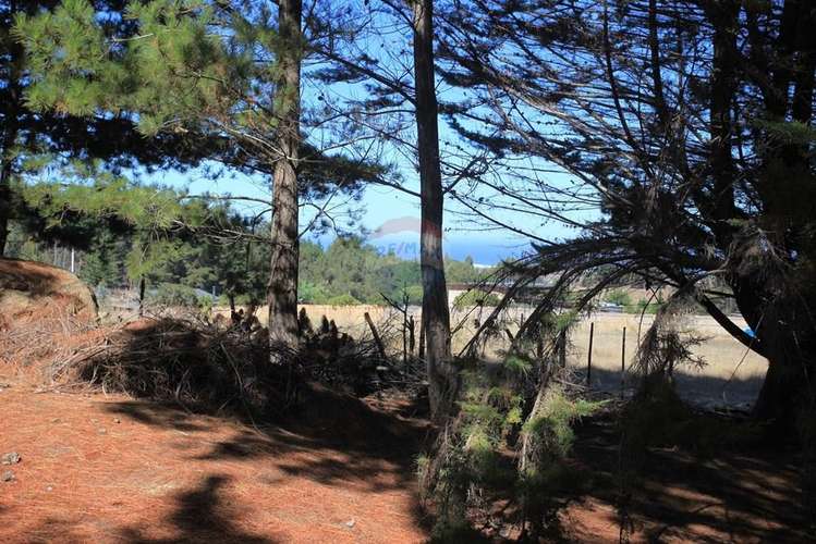 Terreno 9.481 m2 alto punta de lobos pichilemu