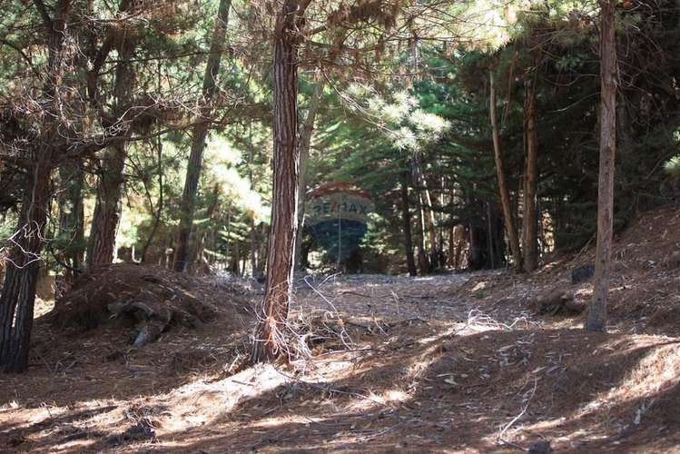 Terreno 9.481 m2 alto punta de lobos pichilemu