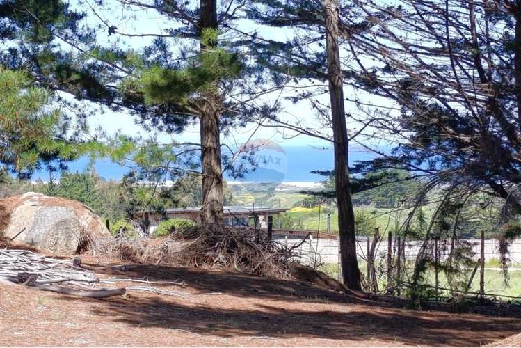 Terreno 9.481 m2 alto punta de lobos pichilemu