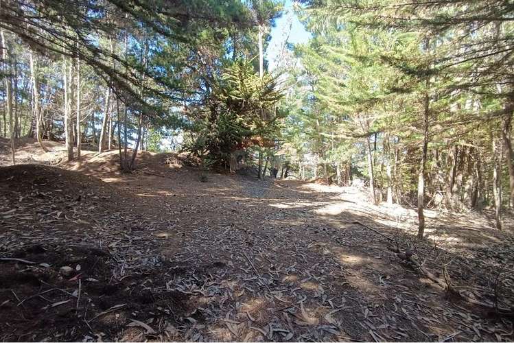 Terreno 9.481 m2 alto punta de lobos pichilemu