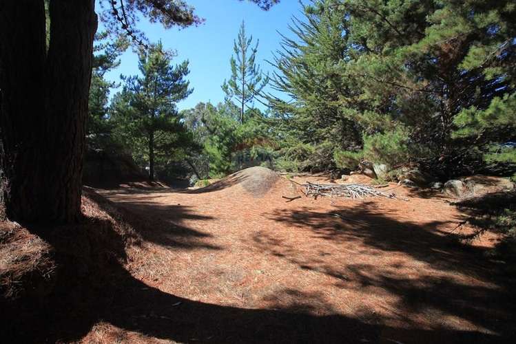 Terreno 9.481 m2 alto punta de lobos pichilemu