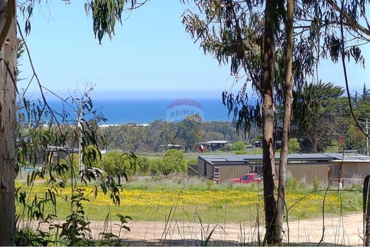 Terreno 9.481 m2 alto punta de lobos pichilemu