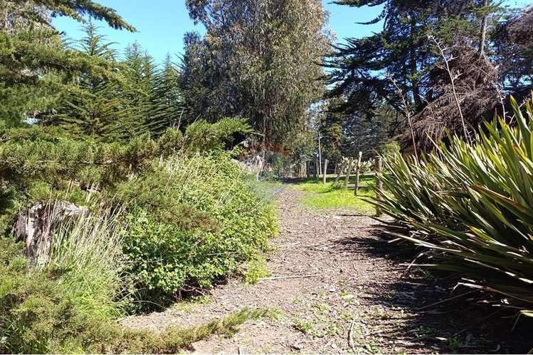 Terreno 9.481 m2 alto punta de lobos pichilemu