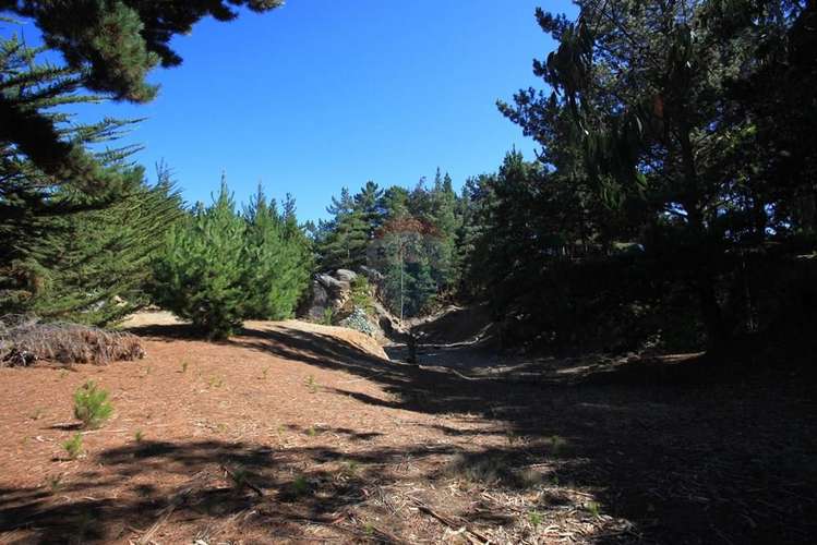 Terreno 9.481 m2 alto punta de lobos pichilemu