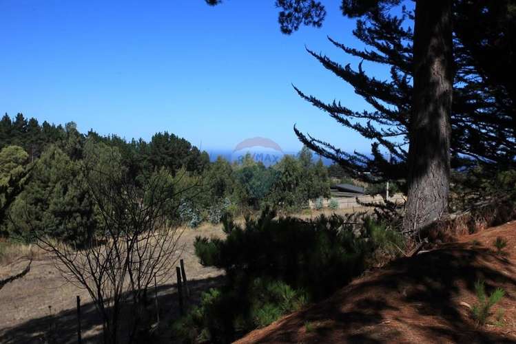 Terreno 9.481 m2 alto punta de lobos pichilemu