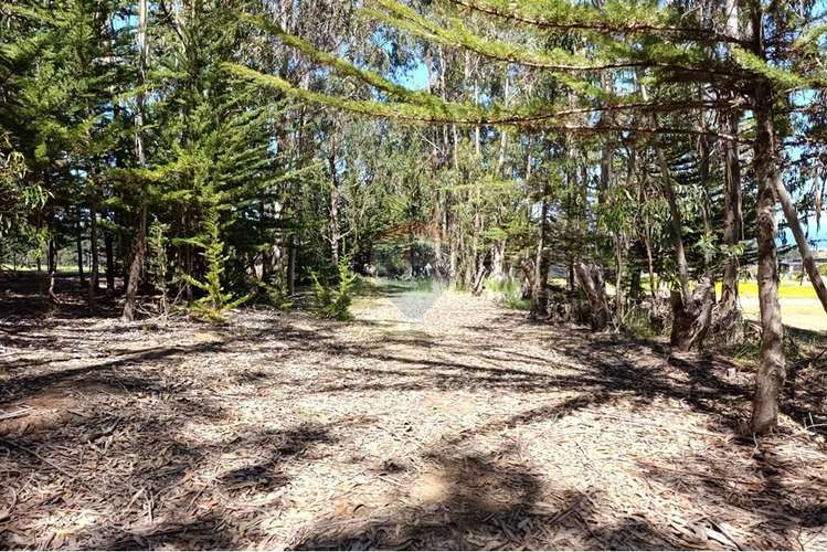 Terreno 9.481 m2 alto punta de lobos pichilemu