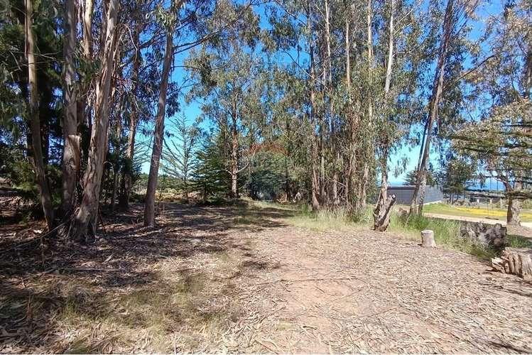 Terreno 9.481 m2 alto punta de lobos pichilemu