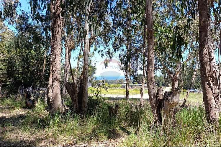 Terreno 9.481 m2 alto punta de lobos pichilemu