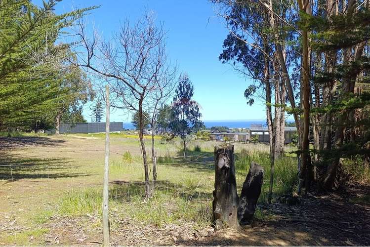 Terreno 9.481 m2 alto punta de lobos pichilemu
