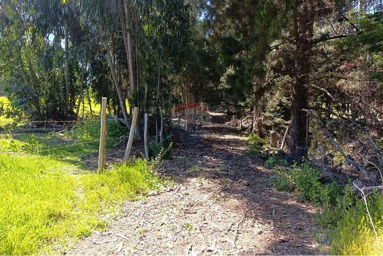 Terreno 9.481 m2 alto punta de lobos pichilemu