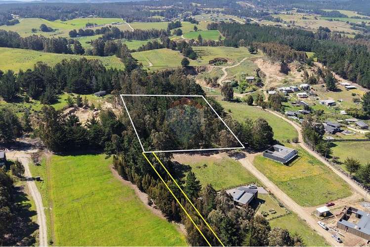 Terreno 9.481 m2 alto punta de lobos pichilemu