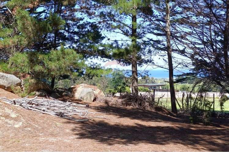 Terreno 9.481 m2 alto punta de lobos pichilemu