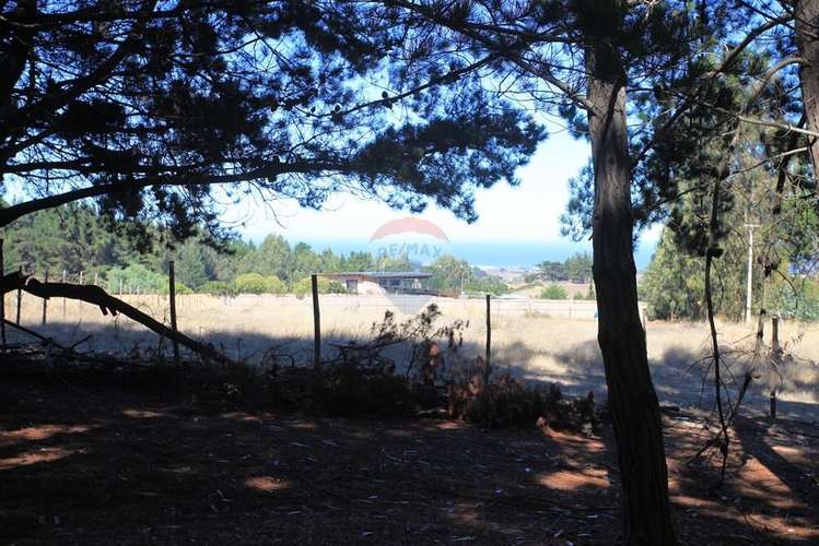 Terreno 9.481 m2 alto punta de lobos pichilemu