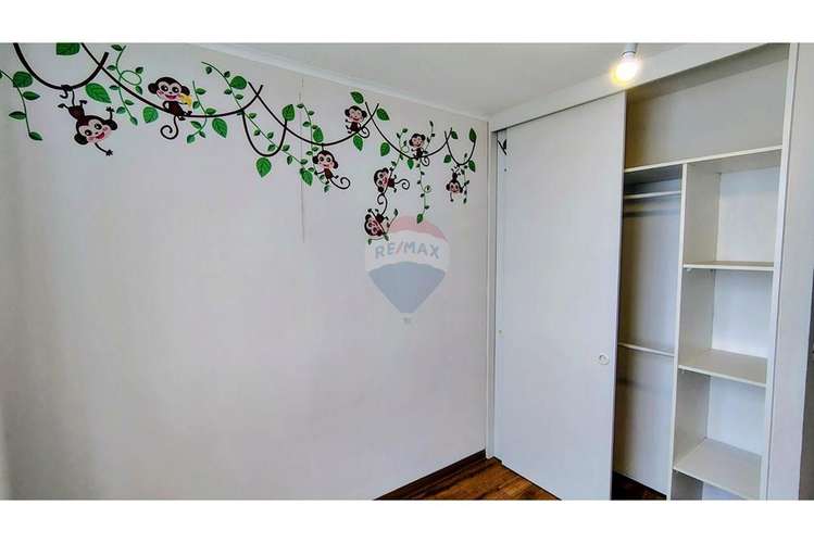Vive en el corazón de cuadro verde, santiago - Imagen 15