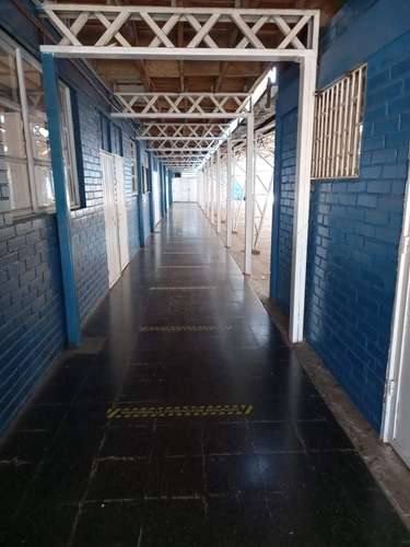 VENDO terreno urbano  2000 mts2., PEÑAFLOR - Imagen 6