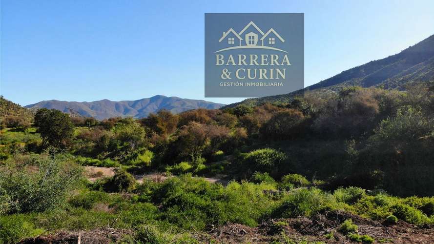  Hermosa Parcela en Venta – 10.000 m² en Curacaví, Sector Los Lingues de Miraflores
