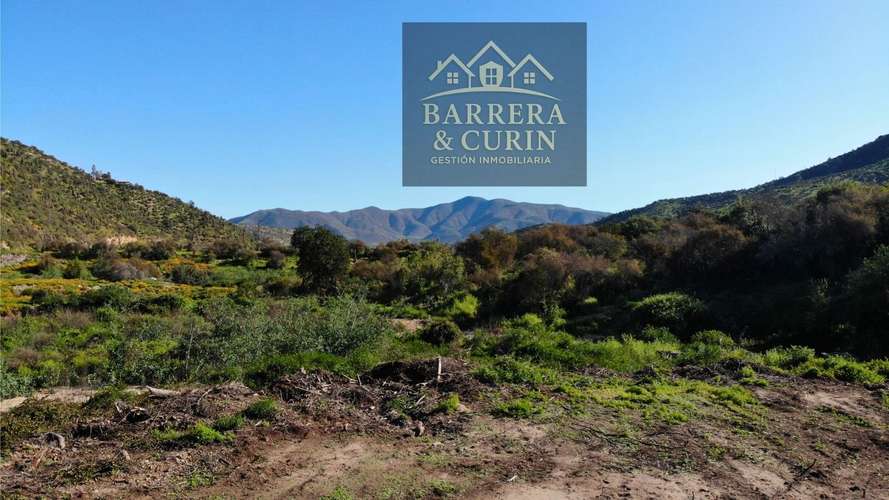  Hermosa Parcela en Venta – 10.000 m² en Curacaví, Sector Los Lingues de Miraflores