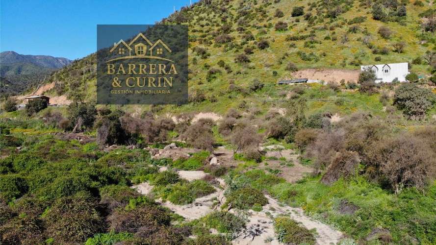  Hermosa Parcela en Venta – 10.000 m² en Curacaví, Sector Los Lingues de Miraflores