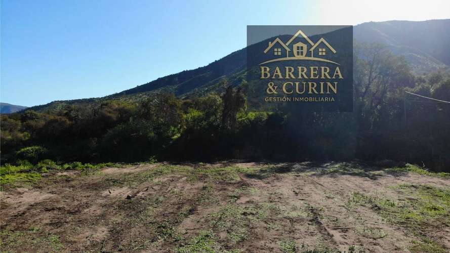  Hermosa Parcela en Venta – 10.000 m² en Curacaví, Sector Los Lingues de Miraflores