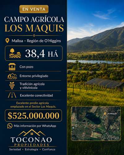 Campo en venta en Malloa, entorno agrícola y vitivinícola