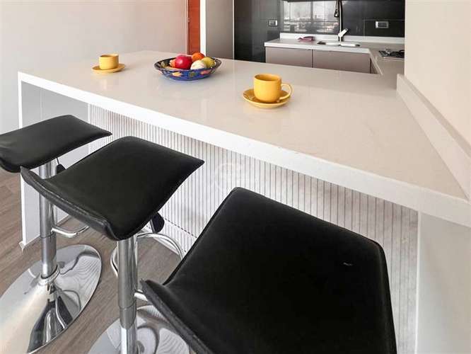 Depto en arriendo 1D/1B en Manuel Montt Providencia - Imagen 8