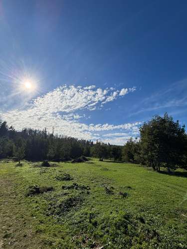 VENTA SITIOS A 10 MIN DE CONCEPCIÓN - Imagen 3