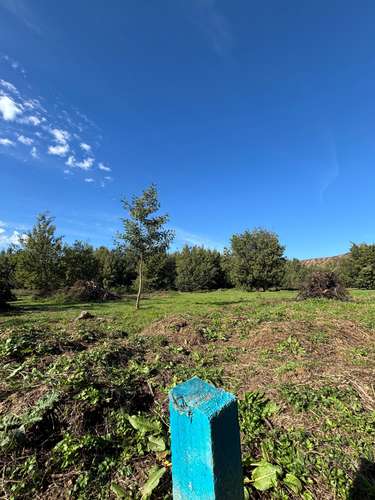 VENTA SITIOS A 10 MIN DE CONCEPCIÓN - Imagen 6