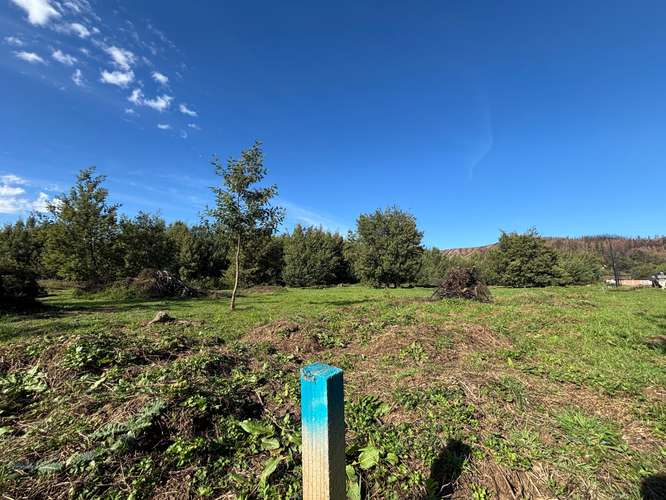 VENTA SITIOS A 10 MIN DE CONCEPCIÓN - Imagen 7