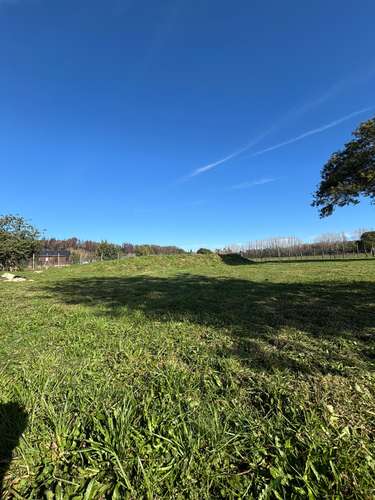VENTA SITIOS A 10 MIN DE CONCEPCIÓN - Imagen 5