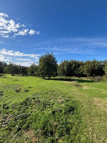 VENTA SITIOS A 10 MIN DE CONCEPCIÓN - Imagen 2