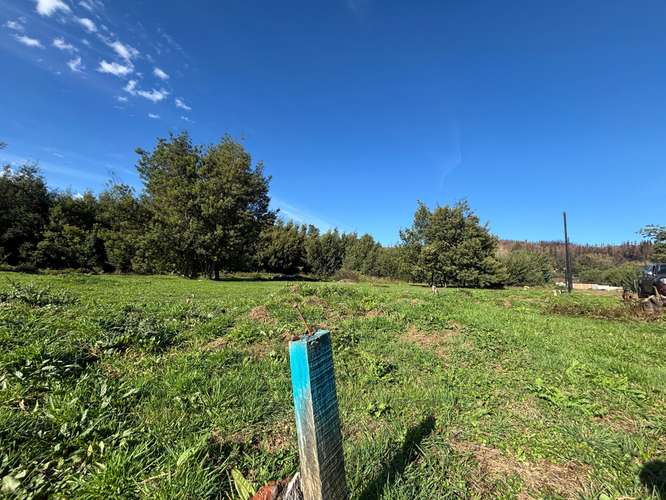 VENTA HERMOSOS SITIOS A 10 MIN DE CONCEPCIÓN