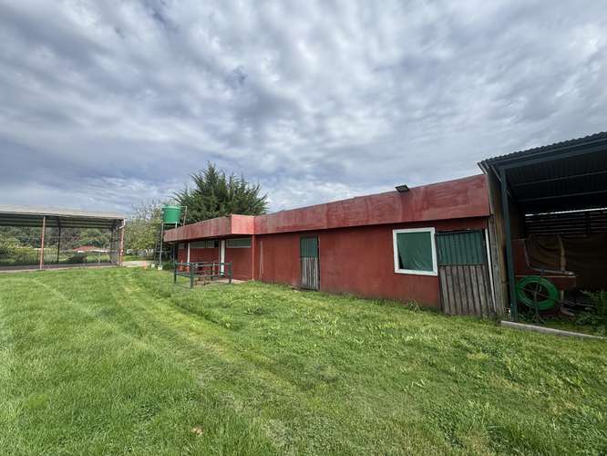 Dos Casas y Centro de Eventos Funcionando en Buin, Amoblada - Imagen 26
