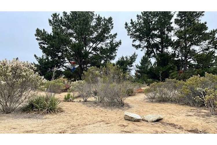 En venta depto algarrobo norte 3d /2b - Imagen 17