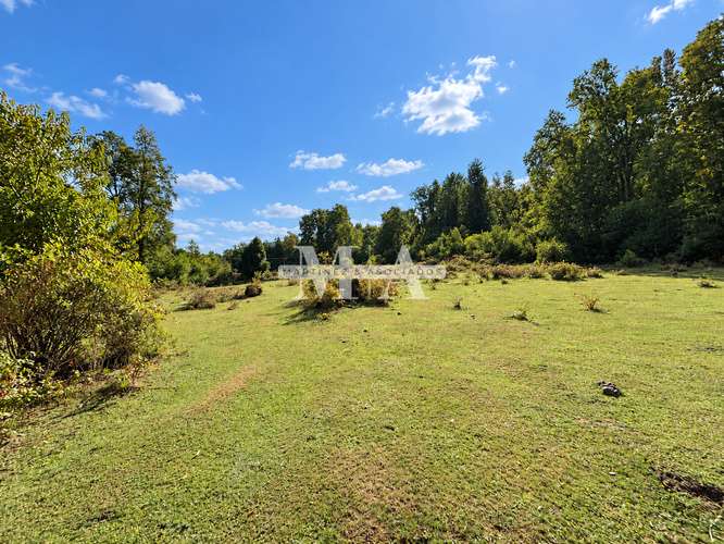 Venta Terreno 5.000 m² en Condominio | Licán Ray, Villarrica