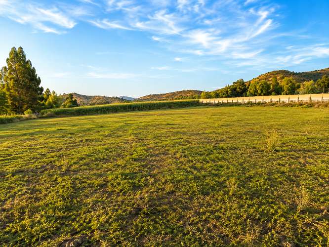 VENTA PARCELA 5000 M2 RINCONADA DE PALMILLA  ACCESO PAVIMENT - Imagen 4