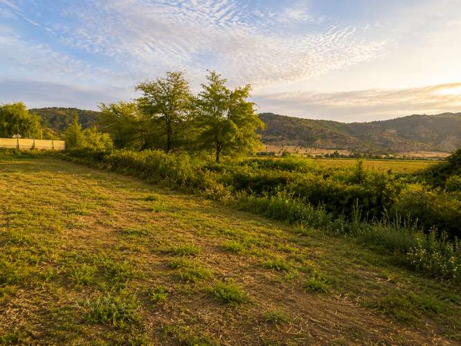 VENTA PARCELA 5000 M2 RINCONADA DE PALMILLA  ACCESO PAVIMENT - Imagen 11