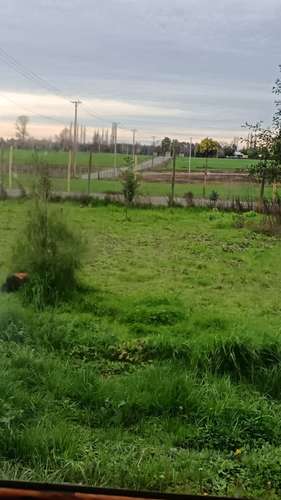 VENTA PARCELA  CAMINO A PINTO,  CHILLAN