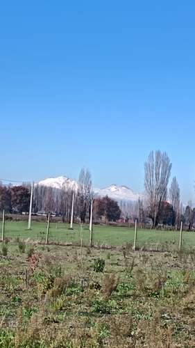 VENTA PARCELA  CAMINO A PINTO,  CHILLAN - Imagen 3