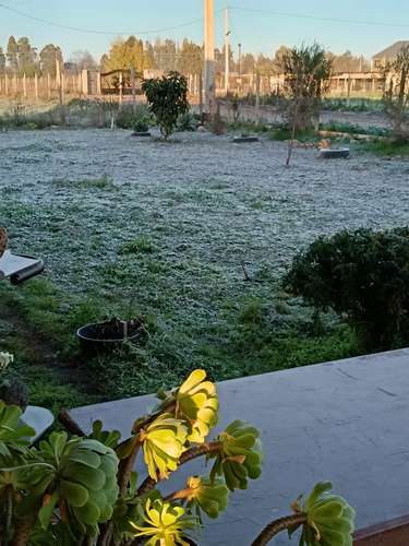 VENTA PARCELA  CAMINO A PINTO,  CHILLAN - Imagen 11